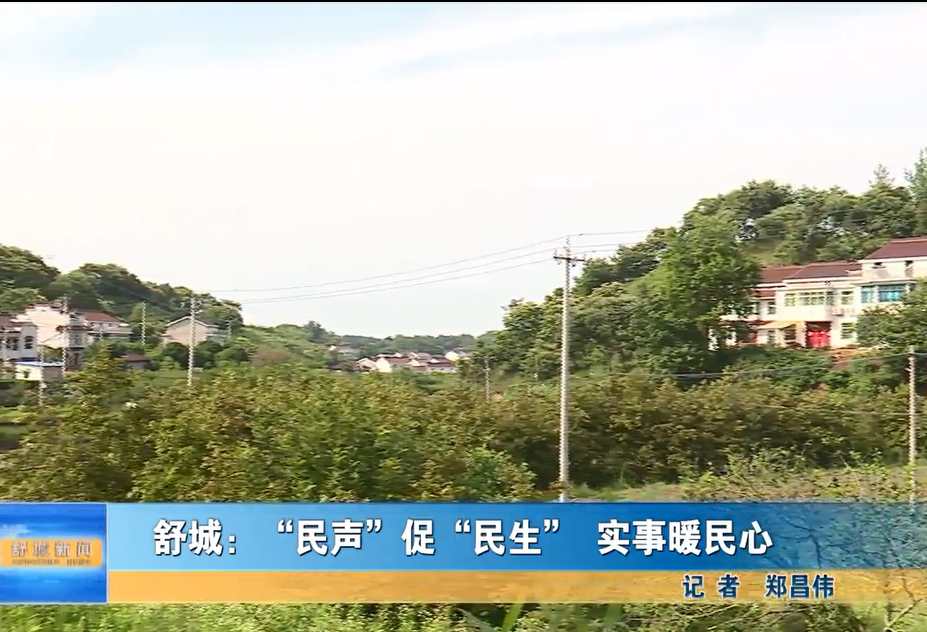 舒城：“民聲”促“民生”實事暖民心